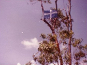 Narara 1983