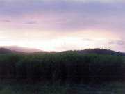 Sunset in the desert