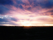 Sunset in the desert