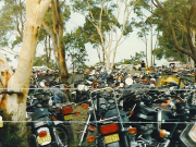 The bikes