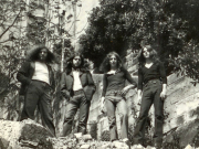 original_bio_900